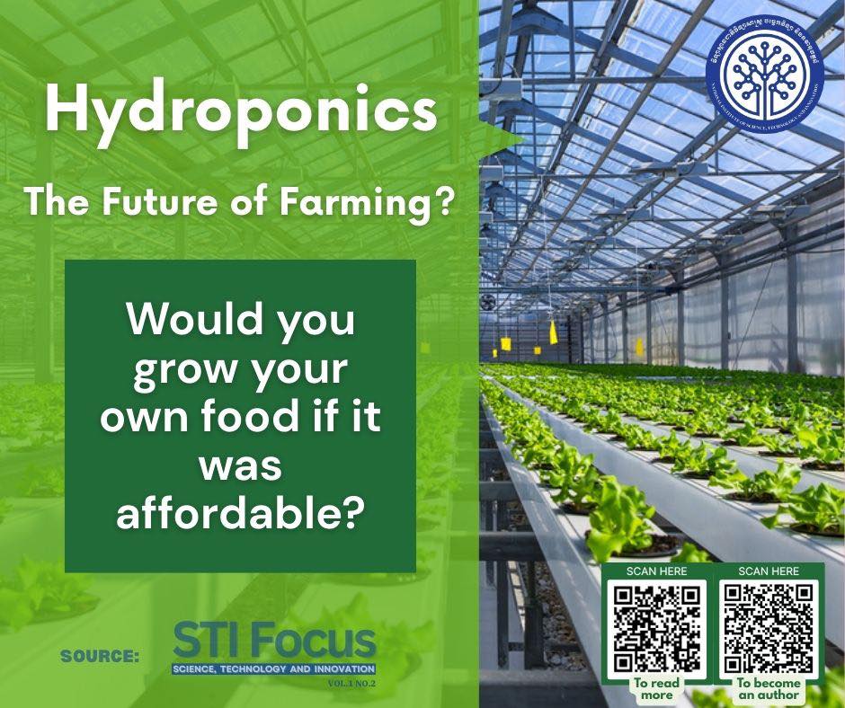 Hydroponic Farming: Faster, More Sustainable and Water Efficient